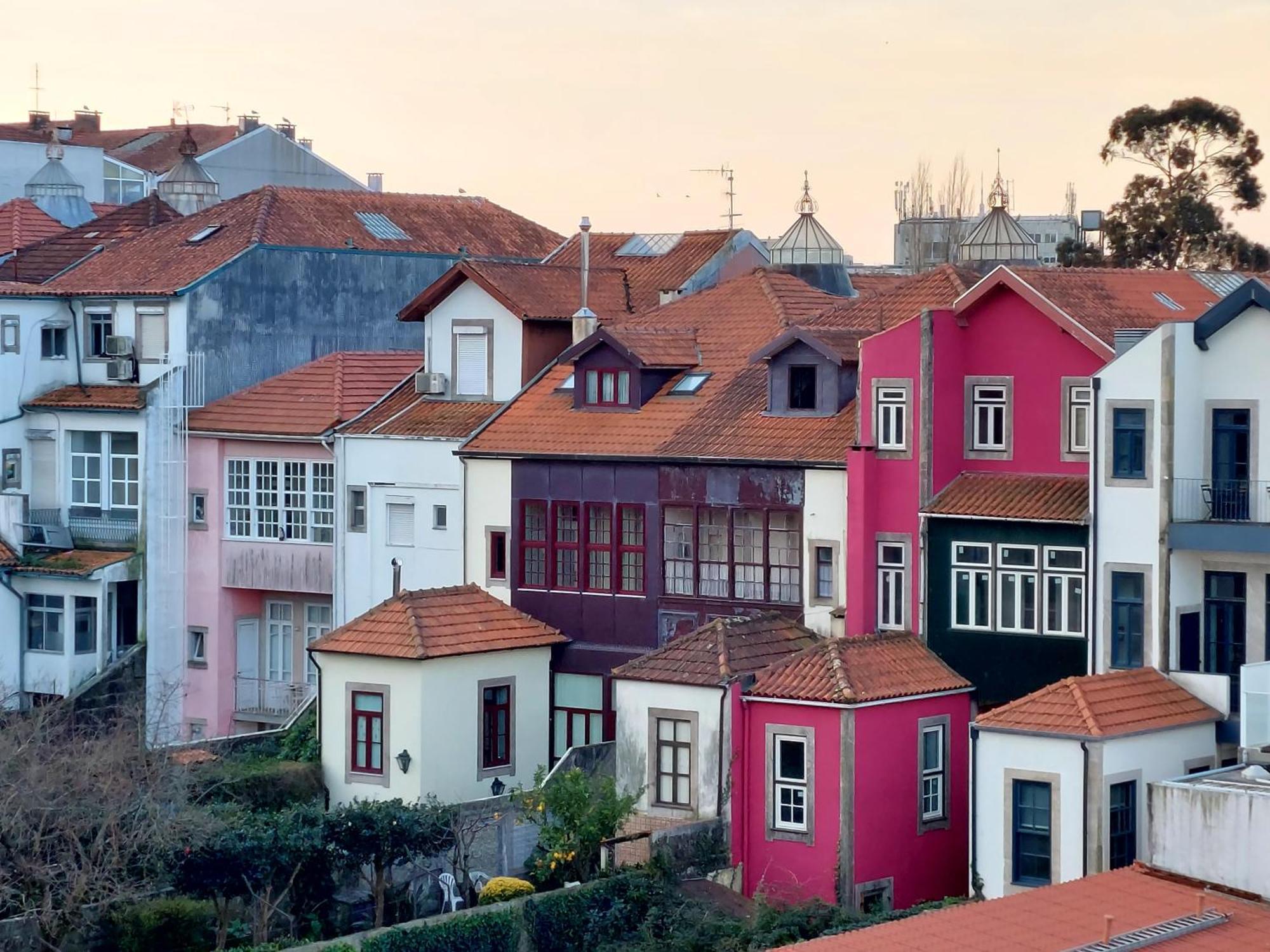 Le Chien Noir City Centre Porto Ngoại thất bức ảnh