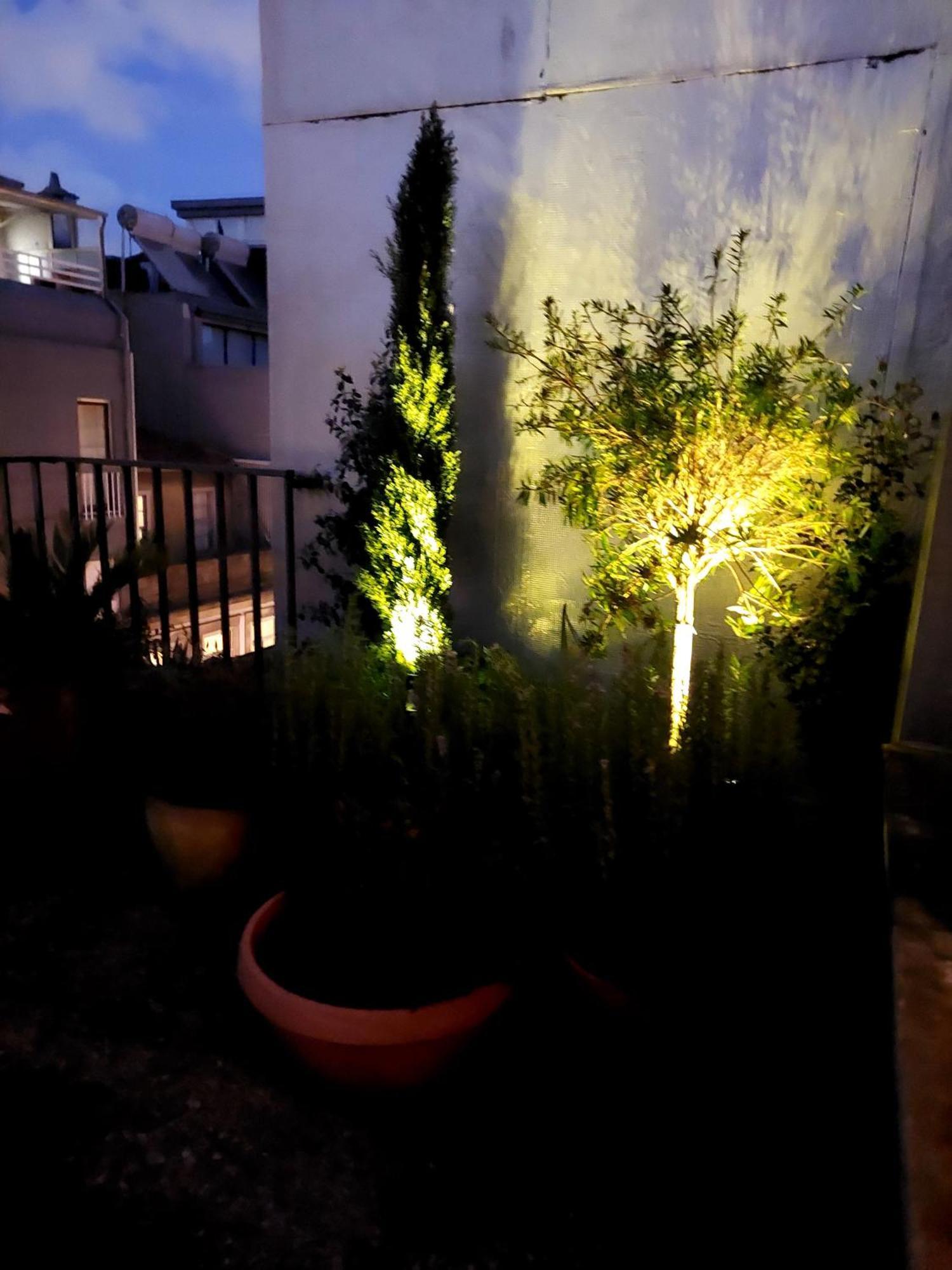 Le Chien Noir City Centre Porto Ngoại thất bức ảnh